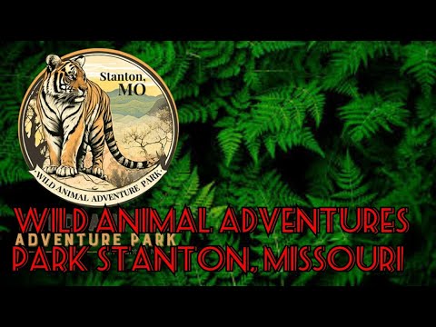 Wild Animal Adventures Park In Stanton , Missouri - YouTube