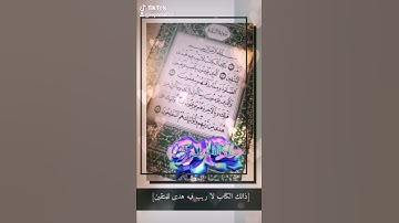 حالات واتساب دينيه 🌿 سورة البقرة