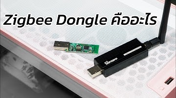 🏠 Zigbee Dongle คืออะไร ภายใน 2 นาที