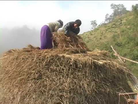 Video: Askiv Cib Rau Lavxias Teb Sab Tej Yaam Num