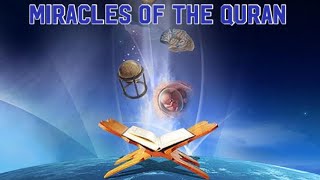 Miracles of the Quran - Sinhala - 2 screenshot 3