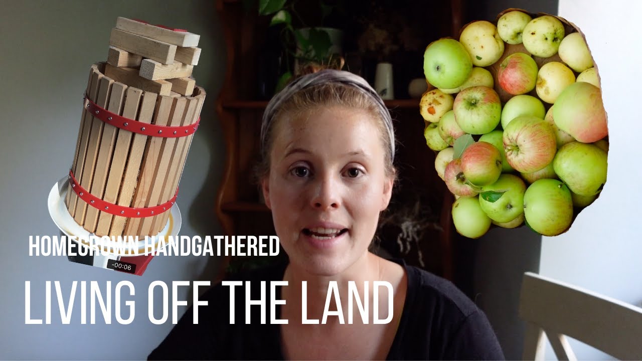 Living off Wild Food (Apples and Pears) YouTube