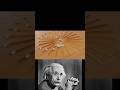 Cool physics illusion (TUSI MOTION) Song : favewell phonk