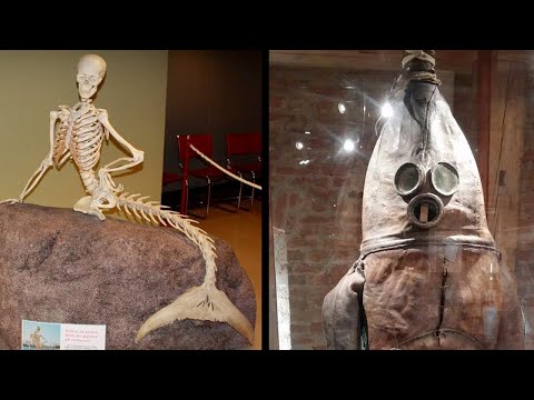 Vídeo: 15 Museus Bizarros De Todo O Mundo Que Você Precisa Conhecer - Matador Network