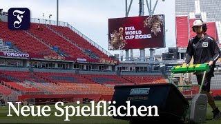 Fifa rüstet Stadien mit Hybridrasen aus