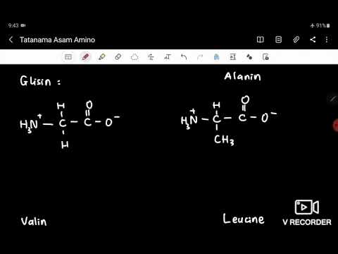 Video: Bothrops Ular Venoms Dan Toksin Mereka Yang Terpencil, Oksidase Asid L-amino Dan Protease Serina, Memodulasi Jalur Sistem Pelengkap Manusia