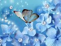 عبد الحليم حافظ قارئة الفنجان حالات واتس
