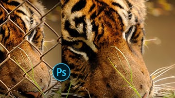 How to Remove a Cyclone or Chain-Link Fence using Brush & Content-Aware Fill in Photoshop 2021