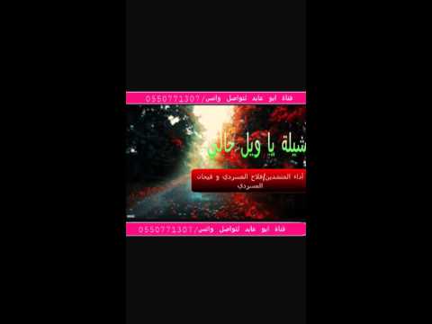 شيلة يا ويل حالي 