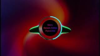 Mera Sanam Sabse Pyara Hai