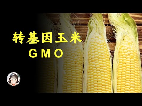 转基因生物对农民有好处吗？