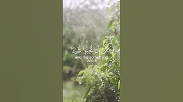 سورة البقر - Surah Al-Baqara(وعسي أن تكرهوا شيئا و هو خير لكم) | تلاوة الشيخ مشاري العفاسي #quran