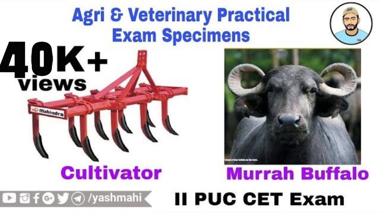 AGRICULTURE & VETERINARY Practical Exam Specimens All In One KCET