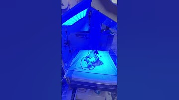Phototherapy for Neonatal Jaundice#medical #baby #jaundice#nicu #foryou #viralvideo #neonatology