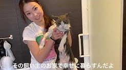 ほとんど嫁と時々ペット Youtube