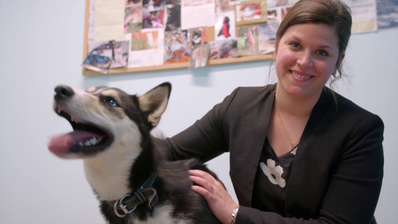 Centre d'adoption pour animaux de compagnie de la SPA