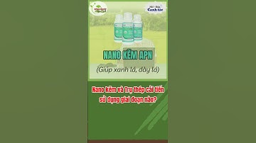 Nano Kẽm và Trụ Thép cải tiến sử dụng giai đoạn nào? #kythuatcanhtaclua #agriculture