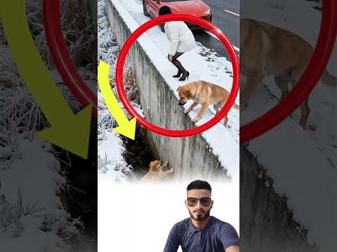 ليس المهم من ي نقذ من المهم أن الإنسانية ما زالت بخير لايك متابعه ترند 