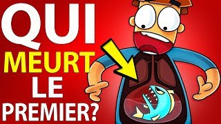 Et Si Vous Avaliez Le Piranha Le Plus Vicieux De Tous Les Temps?