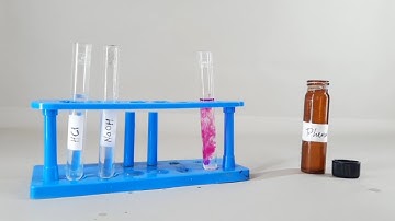 10th Science, Activity 2.6