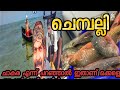 Kerala Fishing| ചെറു തോണിയിൽ സാഹസികമായി കടലിൽ പോയി മീൻ പിടുത്തം