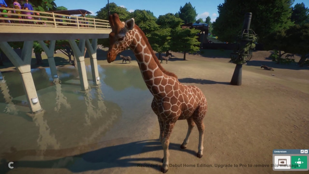 Planet Zoo #4 Wohlbefinden der Tiere verbessern - YouTube