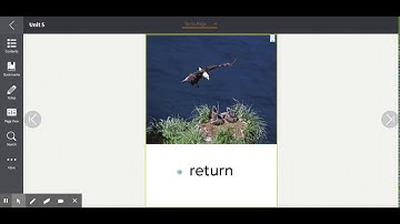 ESOL Grade 1 Unit 5 Week 2 Vocabulary