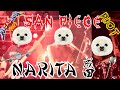 Narita / RIOT (3Piece Band Cover)