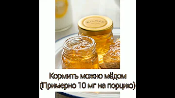 🐞ЧЕМ КОРМИТЬ БОЖЬЮ КОРОВКУ В ДОМАШНИХ УСЛОВИЯХ?🐞 САМЫЕ ПРОСТЫЕ СПОСОБЫ КОРМЛЕНИЯ 🐞