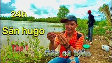 câu cá ngát , cá út , cá đù sông cửa biển gành hào đủ loại cá #1 | hp game tv fishing