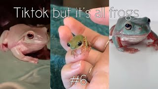 Tiktok but it’s all frogs #6