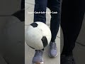 Juggle-Catch-Left-Right-Catch Director of Coaching clean technique. How many can you do ?