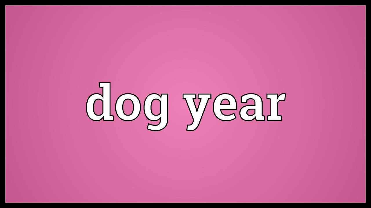 Dog year Meaning - YouTube