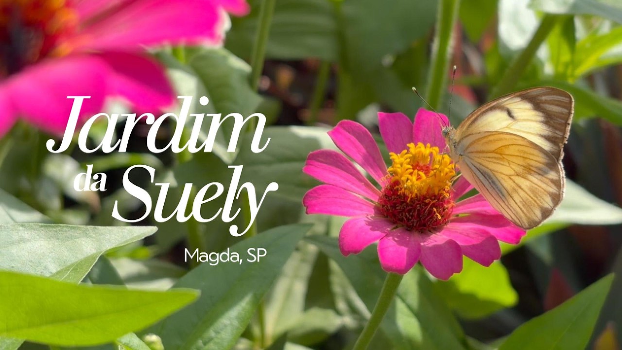O Jardim da Suely - Magda, SP
