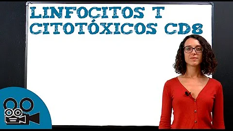 Como é o mecanismo de morte que os linfócitos T CD8 realizam?