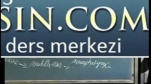 Integrative Biology 131 - Lecture 03:  Skeletal System 0539 290 13 13 | bitirme tezi