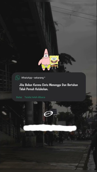 STORY'WA KEREN 30 DETIK TERBARU 2021|| DJ IT AIN'T ME VIRAL 🎶....... TIKTOK 🎶