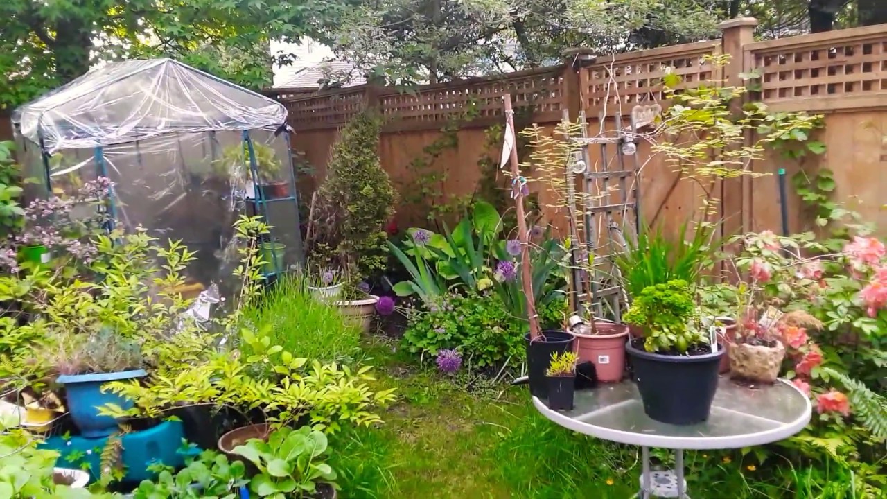 Backyard Garden Tour YouTube