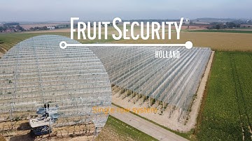 Traditional single row hailnet protection - FRUITSECURITY HOLLAND