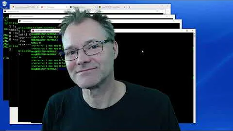 Use various bash terminals on Windows (Git Bash, Cygwin, Debian/WSL2)