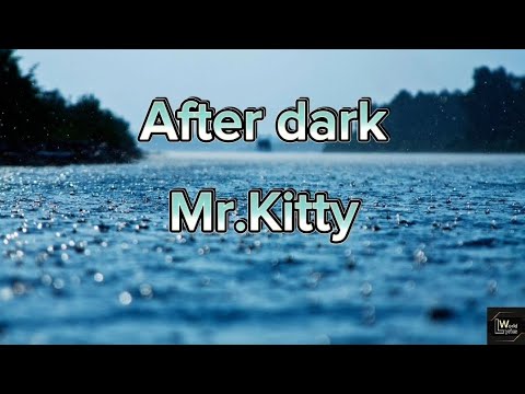 Mr.Kitty Lyrics