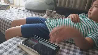 Maru And Yukiji