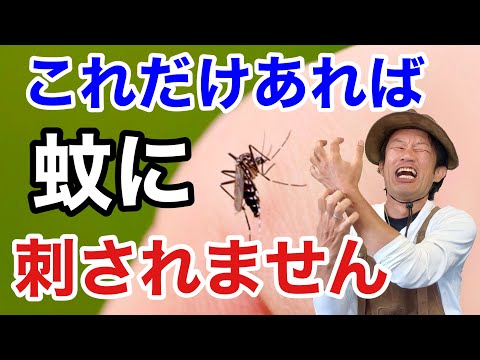 【コスパ最高】もう蚊取りグッズはこれだけで充分です　　　　　　【カーメン君】【園芸】【ガーデニング】【初心者】