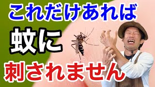 【コスパ最高】もう蚊取りグッズはこれだけで充分です　　　　　　【カーメン君】【園芸】【ガーデニング】【初心者】