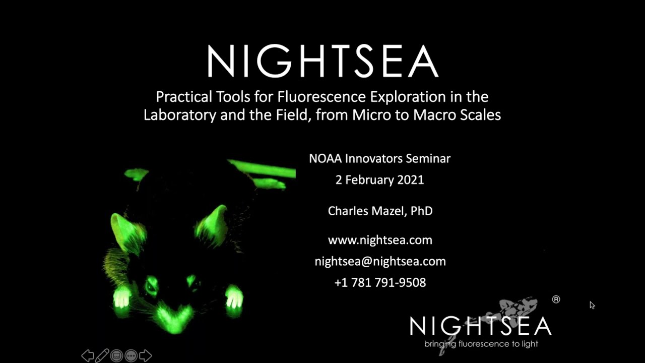 NIGHTSEA: Practical Tools for Fluorescence Exploration -
