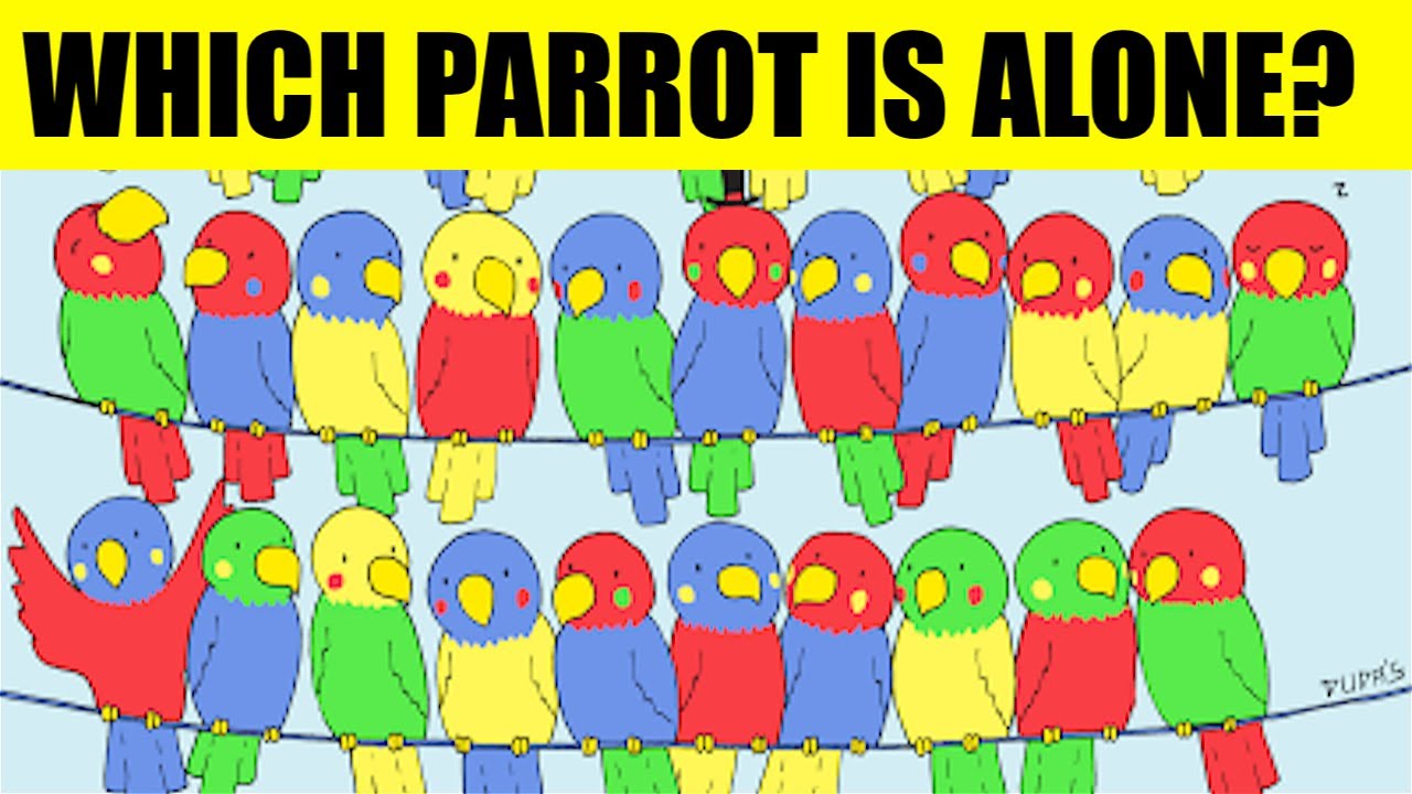 FIND HIDDEN OBJECTS RIDDLES | FIND ODD ONE OUT | SPOT THE HIDDEN ITEM ...