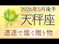 【天秤座】5月後半✨夢を叶えたり瞑想したり|豊かな恵みを手に入れる|自信を持って!|オラクルカードリーディング
