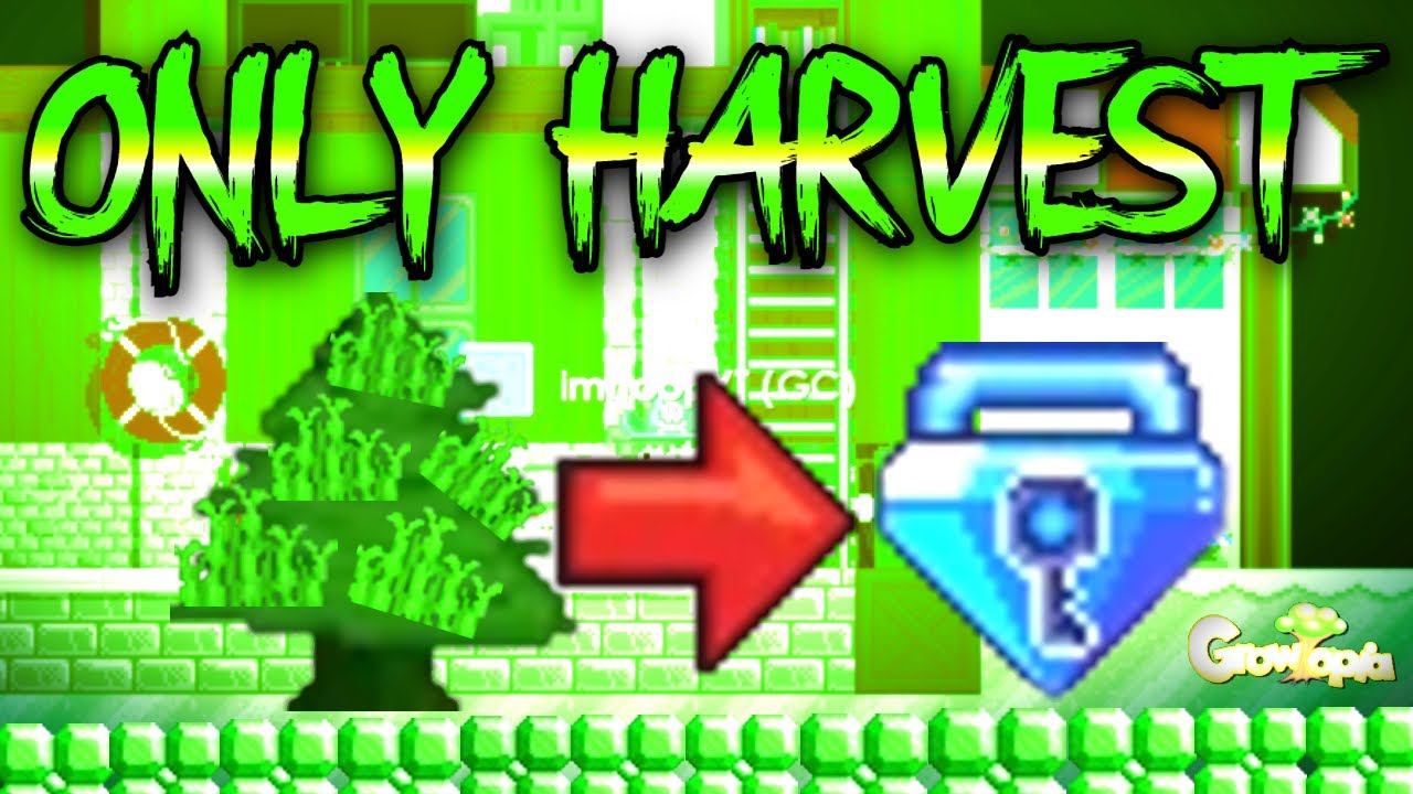 BEST PROFIT IN GROWTOPIA 2021! [NO FARMING] EASY DLS! - GROWTOPIA LAZY PROFIT 2021