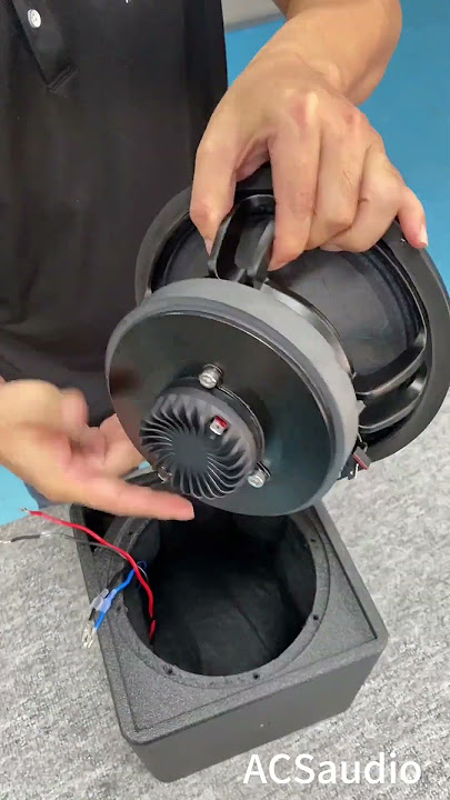Coaxial speakers #source strength manufacturer #audio #karaoke audio #audio equipment #Guangzhou ACS