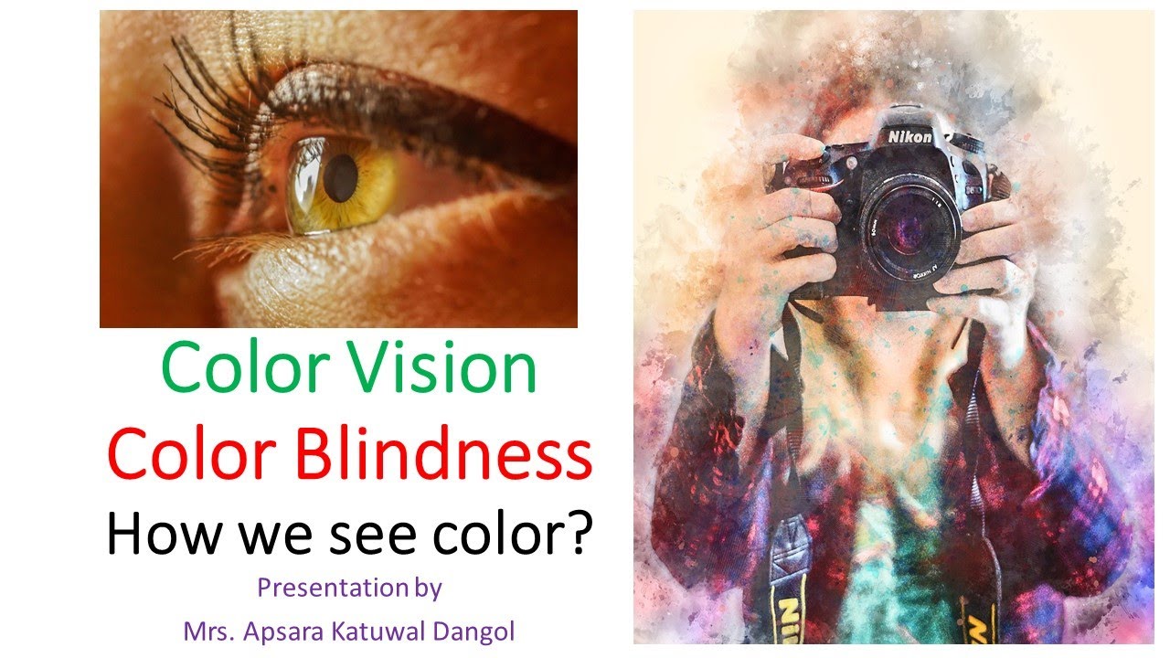 Color Vision and Color Blindness | How do we see color? | Color theories | Apsara Katuwal Dangol